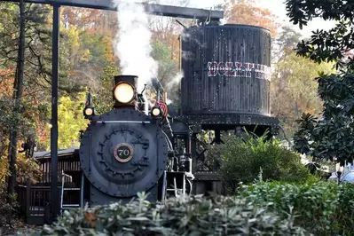 dollywood express