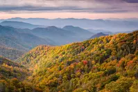 fall foliage in smokies