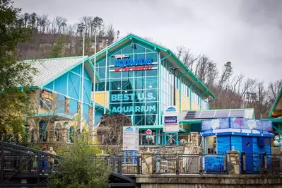 ripley's aquarium of the smokies