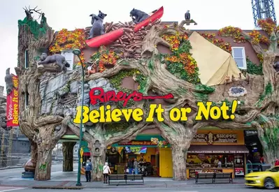 ripley's believe it or not