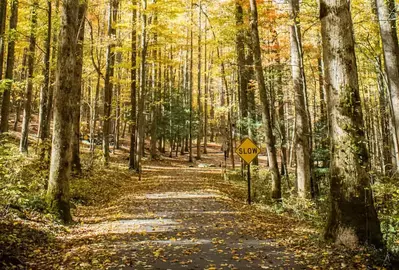 smoky mountains in the fall