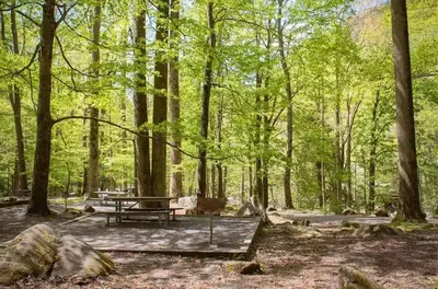 chimneys picnic area in the smoky mountains