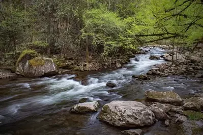 river in the great smoky mountains