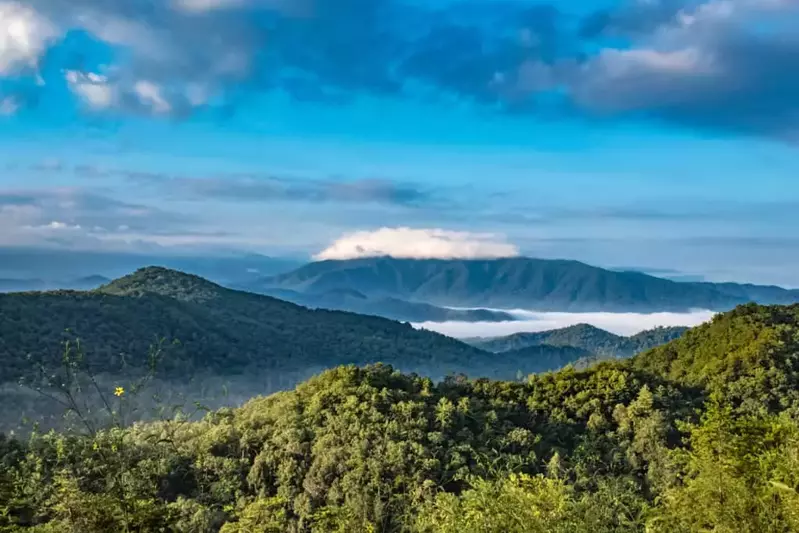 OAK-TENN-ONLY-Smoky-Mountains-1024×683