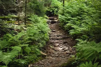 appalachian trail