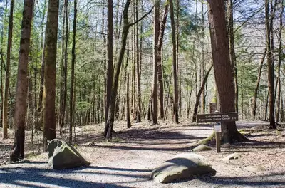 Gatlinburg Trail