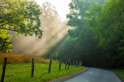 cades cove loop