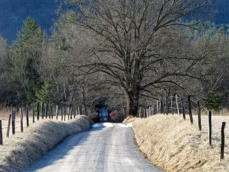 winter in the smoky mountains