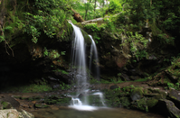 grotto falls